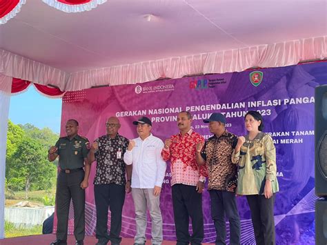 Gerakan Nasional Pengendalian Inflasi Pangan Gnpip Maluku