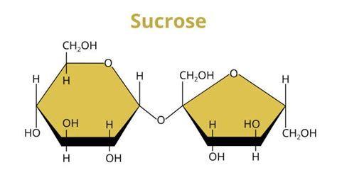 Disaccharide Structure Stock Photos, Pictures & Royalty-Free Images ...