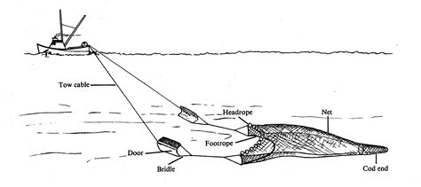 Fishing Gear And Methods California Sea Grant