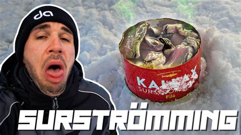 SURSTRÖMMING BESTRAFUNG Der ekligste Fisch der Welt Daniel Abt