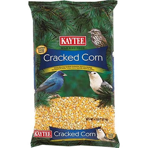 Best Cracked Corn For Deer: The Top 5 Brands