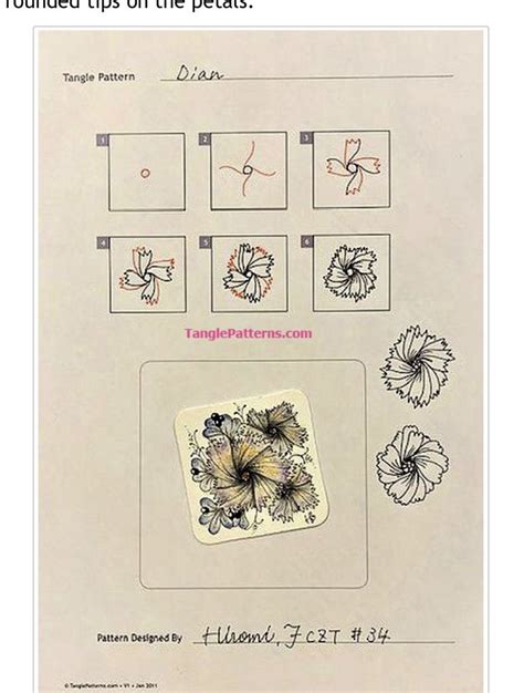 An Instruction Manual For Drawing Flowers And Butterflies