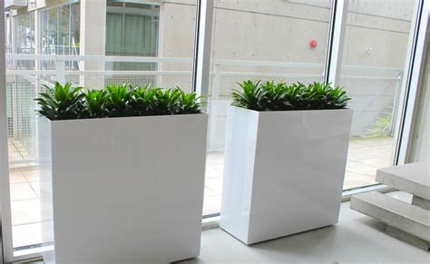 Big Rectangle Pots For Plants Thuem Garden Plant