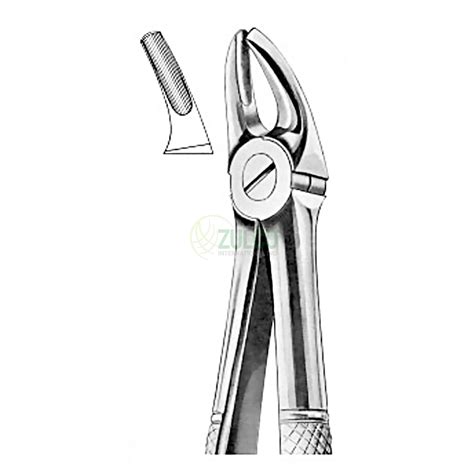 Extracting Forceps English Pattern Fig Upper Premolars