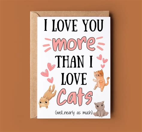 Funny Cat Anniversary Card Anniversary Card For Him Happy Anniversary