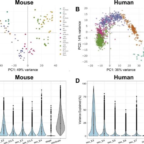 Contribution Of Stage And Sex To Total Gene Expression Variation In