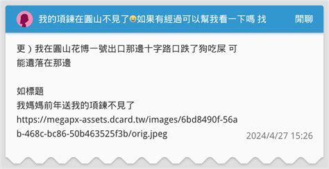 我的項鍊在圓山不見了😭如果有經過可以幫我看一下嗎 找到給你1000塊 閒聊板 Dcard