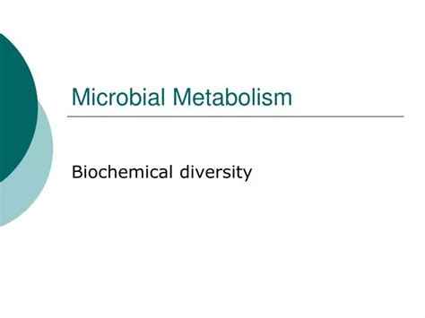 Ppt Microbial Metabolism Powerpoint Presentation Free Download Id