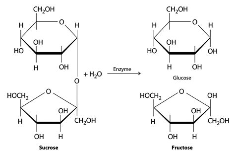 Hydrolysis Of Sucrose With Dilute Acid Yields An Equimolar Mixture Of D