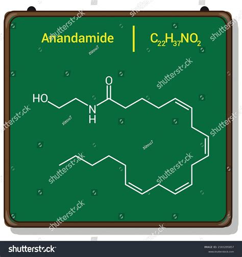 Chemical Structure Anandamide C22h37no2 Stock Vector (Royalty Free ...