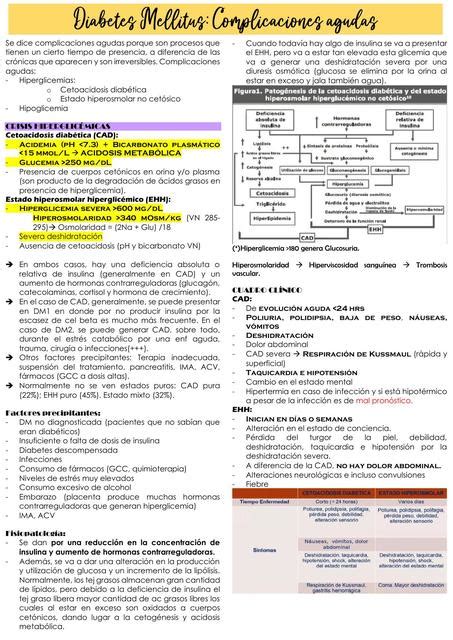 Complicaciones Agudas De La Diabetes Mellitus María Fernanda Cuya Udocz