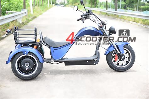 Wholesale W City Coco Fat Tire Three Wheel Eec Dual Motor China