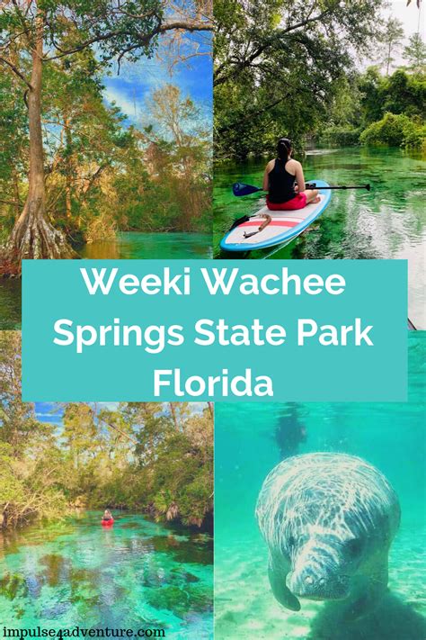 Kayaking at weeki wachee springs – Artofit