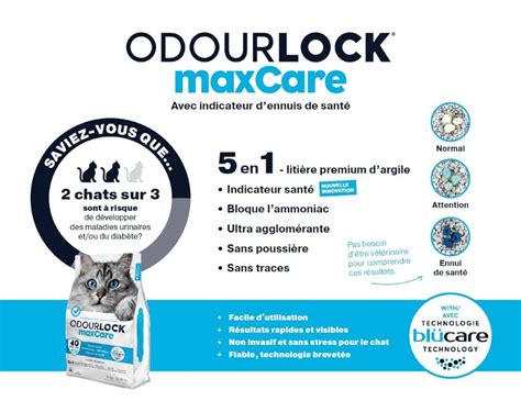 Intersand Odourlock Maxcare Litière Agglomérante Non Parfumée