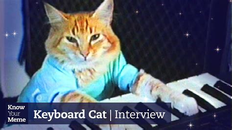 The Keyboard Cat Story You Never Knew Meet The Meme Youtube