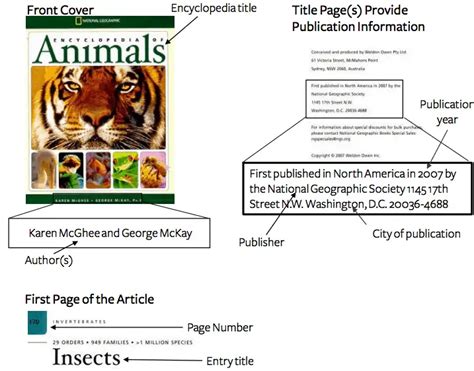 How To Cite An Encyclopedia In Chicagoturabian Easybib