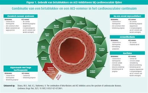 B Tablokkers In De Behandeling Van Arteri Le Hypertensie Tijdschrift