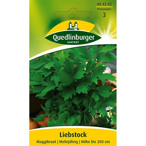 Liebstock Maggikraut Von Quedlinburger Saatgut Shopping