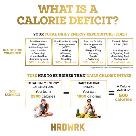 Calorie intake calculator how to calculate your intake does macros too ...