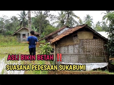 Di Jamin Betah Kampung Yang Asri Sejuk Dan Pemandangan Sawah Dan