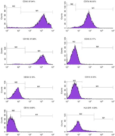 Surface Antigen Identification By Flow Cytometry Download Scientific