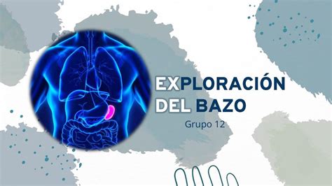 Exploración del Bazo Ilse Jiménez uDocz