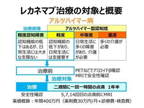 アルツハイマー病の新規治療薬レケンビ一般名レカネマブ について 認知症疾患医療センター（基幹型） その他 診療科・部門