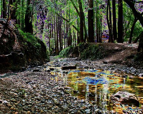 Miller Grove Photograph By Ben Upham Iii Fine Art America