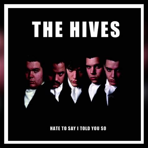 Hate To Say I Told You So The Hives SWR Kultur