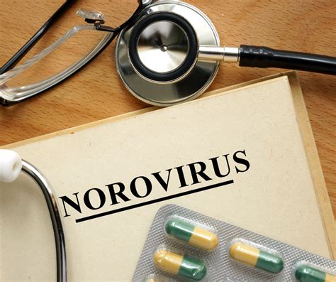 Norovirus What You Need To Know NEW Health Center