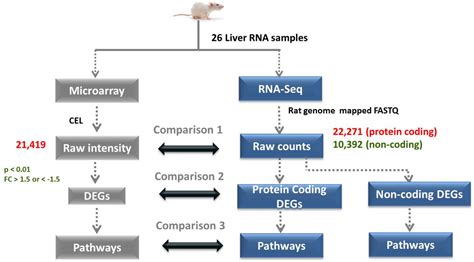 Frontiers Comparison Of Rna Seq And Microarray Gene Expression