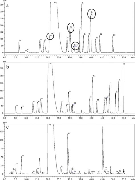 Hplc Chromatograms Under Different Chromatographic Conditions A Bad Download Scientific