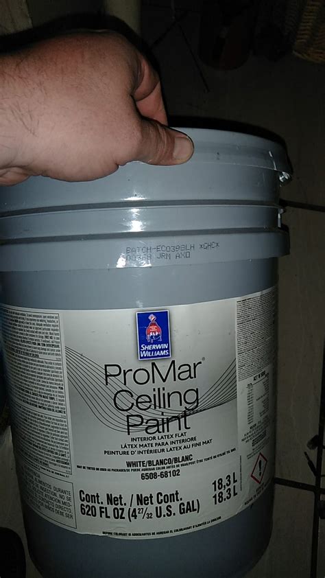 Sherwin Williams Promar Ceiling Paint Reviews Shelly Lighting