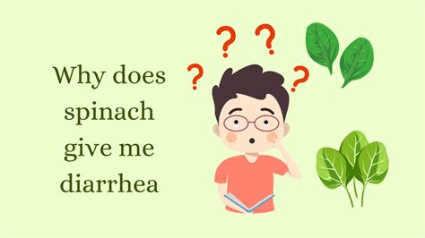 Does Spinach Make You Poop And Cause Diarrhea Full Guide Healthnord