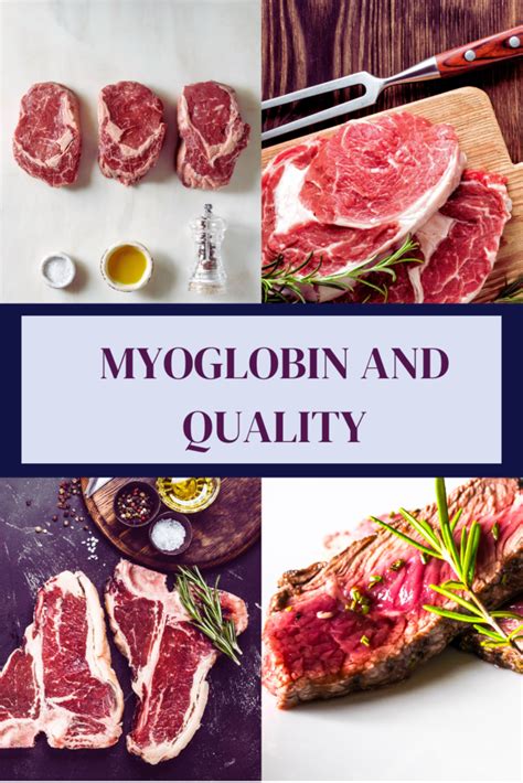 What Is Myoglobin And Why Is Meat Red Lemasterfit