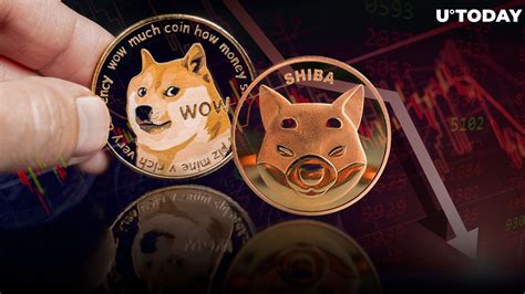 市场严重低迷，柴犬币 Shib 和狗狗币 Doge 跻身加密货币落后行列 0x资讯