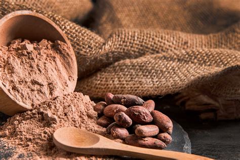 Cacao Origines Bienfaits et son utilisation en Cuisine Où l