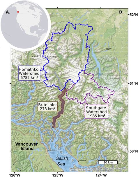 Turbidity Currents Can Dictate Organic Carbon Fluxes Across Riverfed