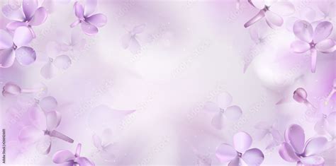 Floral Spring Background With Purple Lilac Flowers Stock Vector Adobe Stock