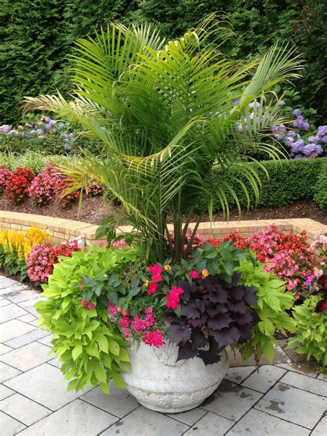 20+ Ideas For Planting Flowers In Pots