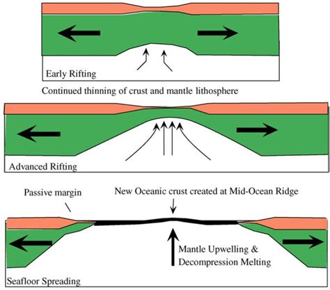 Mapping The Ocean Floor Instructions And Data Sheet Answers