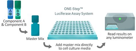 ONE-Step™ Luciferase Assay System