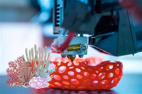 3d Printing Used To Save Coral Reefs Jwp