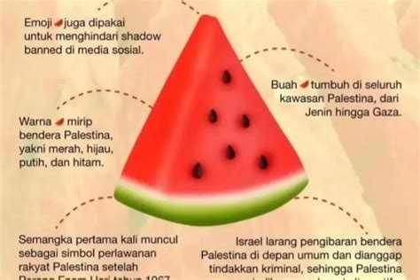 Ini Makna Semangka Palestina Sebagai Simbol Kuat Dalam Dukungan Dan