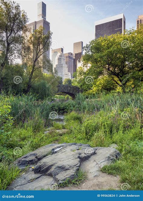 gapstow bridge central park  york city stock photo image  city