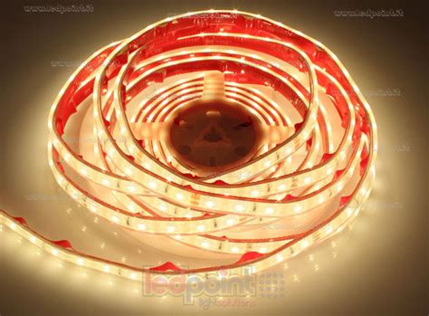 Ledpoint S R L LED Strip 5m Warm White 3000K 2835 60led M 24V 4 8W M