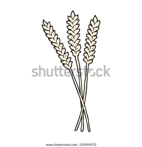 Freehand Drawn Cartoon Wheat Stock Vector (Royalty Free) 350949470