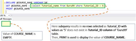 Sql Variables Sql Server Declare Set And Select Variable