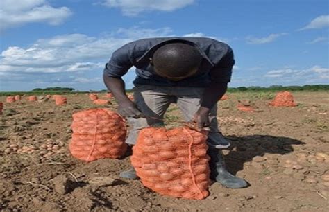 Technology In Agriculture Enhancing Food Security In Africa Agritech