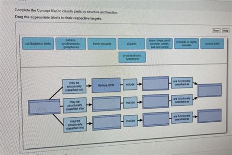 Solved Complete The Concept Map To Classify Joints By Chegg